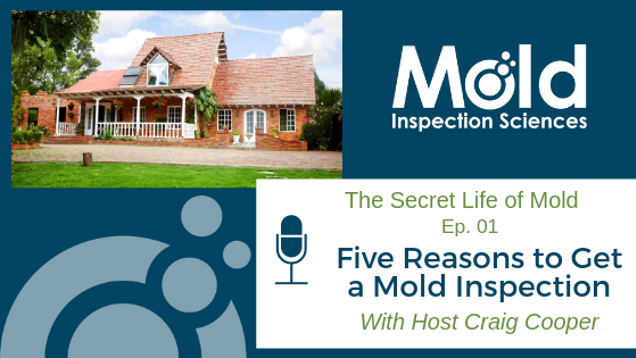 Podcast cover featuring a house with a red roof and front porch. Text reads: Mold Inspection Sciences. The Secret Life of Mold, Ep. 01: Five Reasons to Get a Mold Inspection with Host Craig Cooper. Delve into the art of mold investigation with this insightful episode. A microphone icon is also displayed.