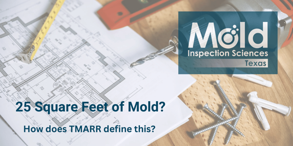 25 Square Feet of Mold