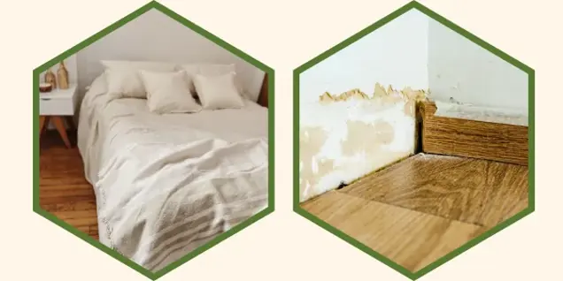 Split image: On the left, a neatly made bed with cream bedding and pillows in a cozy bedroom. On the right, peeling and damaged paint above wooden flooring, suggesting possible water damage and the need for mold assessment.
