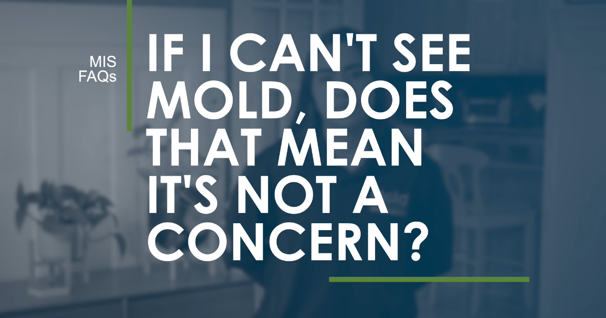 If I can’t see mold, does that mean I don’t have an issue?