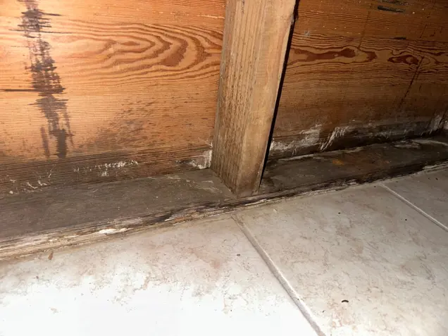 Close-up of a wooden wall reveals noticeable water damage and staining at the bottom, suggesting a need for further inspection. The wood appears worn and weathered, while the tile floor shows some dirt and discoloration near the base of the wall, hinting at ongoing issues.