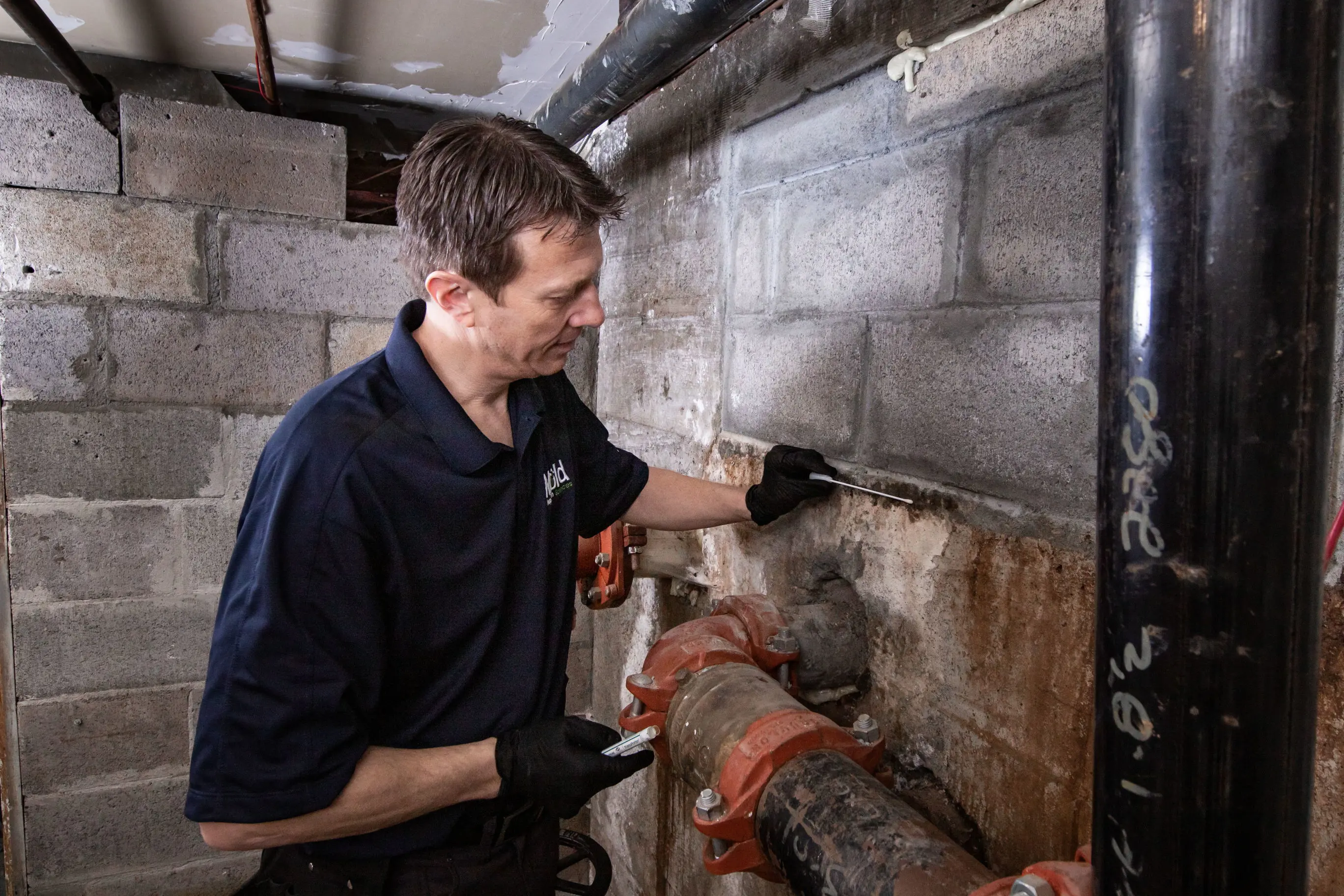 A person wearing a navy shirt and black gloves is meticulously investigating a pipe in a dimly lit, unfinished basement with concrete walls. They are using a tool to assess the area around the pipe for any signs of mold.