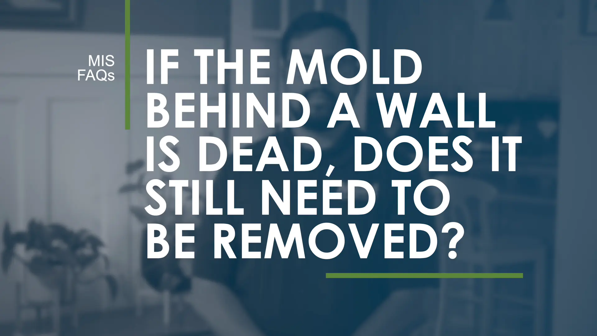 If Mold Behind a Wall Is Dead, Does It Still Need to Be Removed