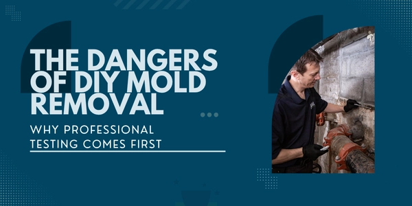 A man investigates a basement pipe for mold. Text on the image reads: “The dangers of DIY mold removal. Why professional testing comes first.” Blue background with geometric shapes.