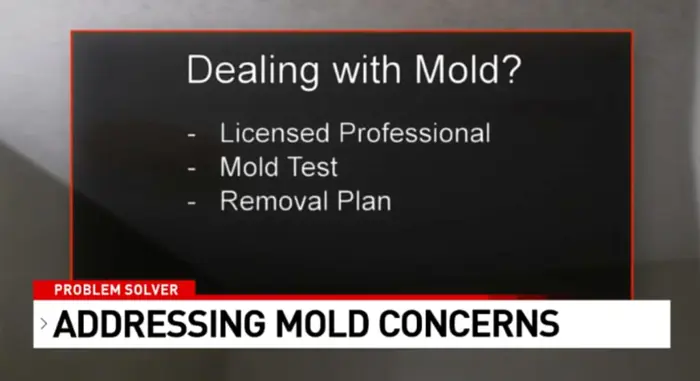 A slide titled Dealing with Mold? lists three points: Licensed Professional, Mold Sampling and Testing, and Removal Plan. Below the slide, the caption reads, Problem Solver: Addressing Mold Concerns.