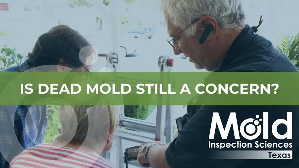 Three people conduct a mold inspection indoors; text overlay reads, IS DEAD MOLD STILL A CONCERN? The Mold Inspection Sciences Texas logo appears in the bottom right corner.