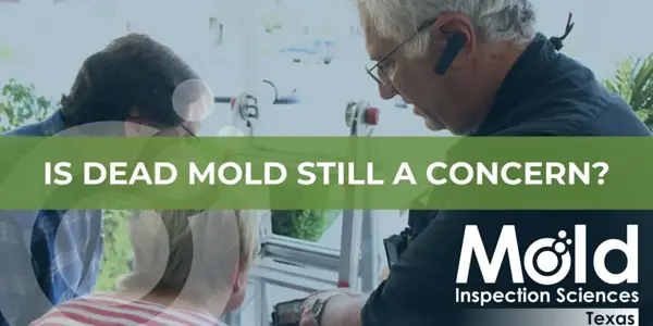 Three people conduct a mold inspection indoors; text overlay reads, IS DEAD MOLD STILL A CONCERN? The Mold Inspection Sciences Texas logo appears in the bottom right corner.