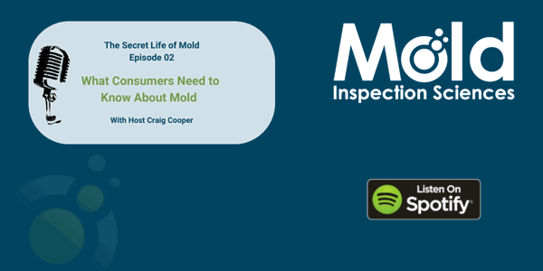 Episode 02: What Consumers Need to Know About Mold