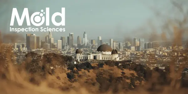 Los Angeles, California