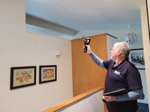 A person in a blue shirt uses a handheld infrared thermometer to conduct mold testing in an indoor area. The space features framed artwork on the walls and neutral-colored decor.