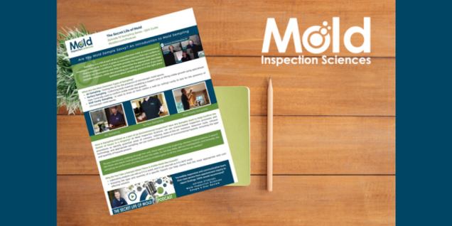 Flat lay of a newsletter from Mold Inspection Sciences on a wooden desk. The newsletter, highlighting the intricacies of mold inspection, features images and text. A plant, a pen, and a closed green notebook are arranged beside it.