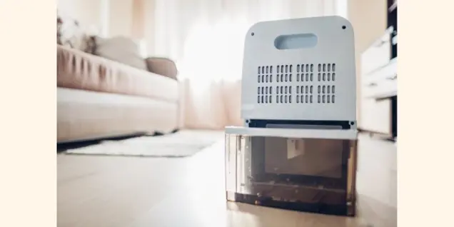 A dehumidifier with its water tank removed sits on a wooden floor in a bright living room, helping prevent mold as part of regular inspection. A sofa and rug are visible in the background.