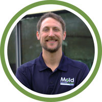 Contact Mold Inspection Sciences