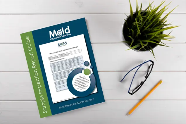 An inspection report booklet titled Mold Inspection Sciences is placed on a white wooden surface, surrounded by a pair of black eyeglasses and a small plant in a black pot, capturing the essence of precision and thoroughness in testing.