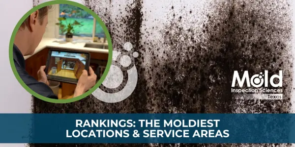 Mold Inspection Sciences Texas Ranks the Moldiest Locations