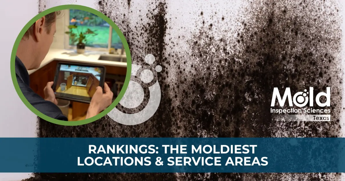 A close-up of black mold growing on a wall is shown. In the left corner, a person uses a digital device to conduct mold assessment in the room. The text reads: Rankings: The Moldiest Locations & Service Areas. The logo is for Mold Inspection Sciences Texas.