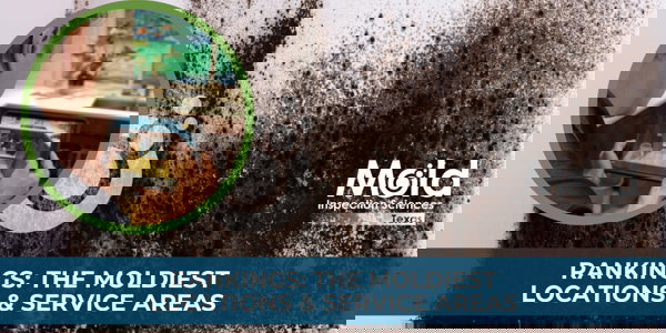 Mold Inspection Sciences Texas Ranks the Moldiest Locations