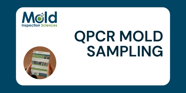 qPCR Mold Sampling