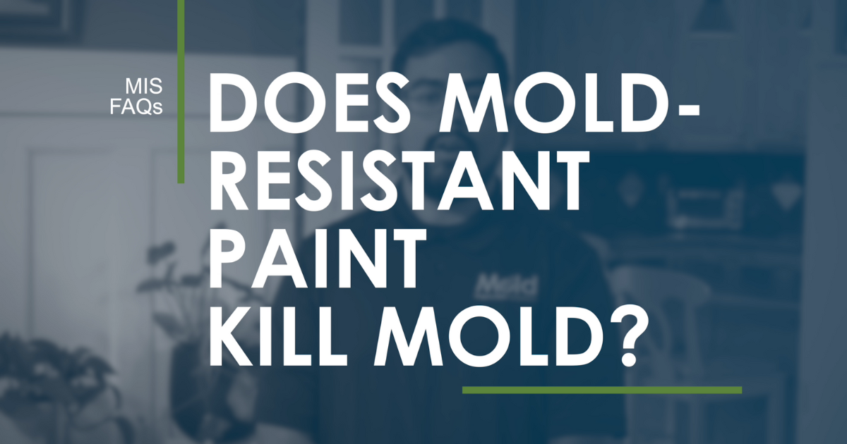 Does mold-resistant paint kill mold