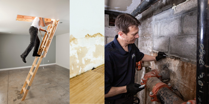 A person climbs a ladder to access an attic in a clean, unfurnished room. Water damage with peeling paint hints at mold, while another person conducts an inspection of a concrete wall with pipes for signs of damage or the need for repairs.