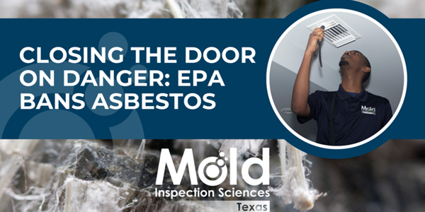 Asbestos Ban: Everything You Need to Know