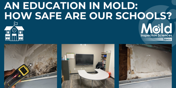 An Education in Mold How Safe Are Our Schools