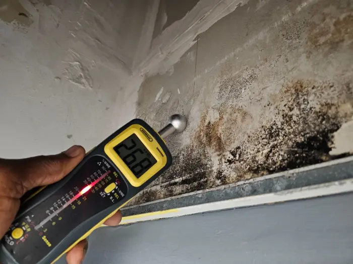 A hand holds a moisture meter against a wall with visible mold and water damage during an inspection. The digital display reads 26.8%, indicating high moisture levels. The surrounding area shows signs of decay and discoloration, requiring further assessment.