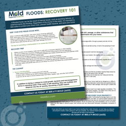 Download our Free Flood Recovery Check List