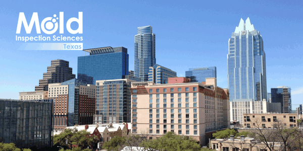 Mold Inspection and Testing in Austin and the Surrounding Areas