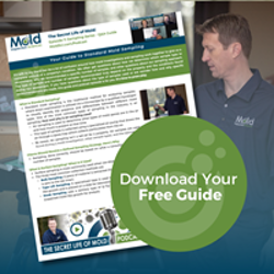 Our Free qPCR Mold Sampling Guide