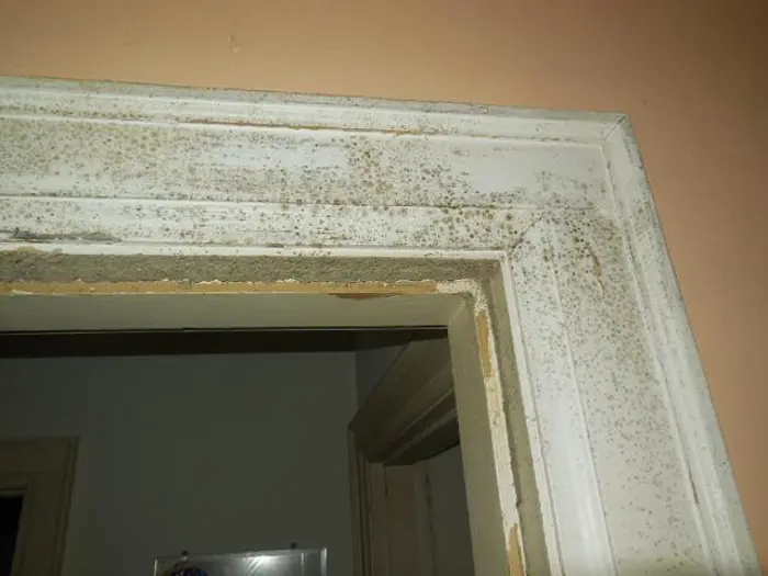 A white door frame with visible mold growth and peeling paint stands in a dimly lit room, awaiting thorough investigation. The frame reveals signs of moisture damage and decay, contrasted against a beige wall in the background, warranting an urgent assessment.