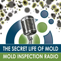 Five Reasons to Get a Mold Inspection