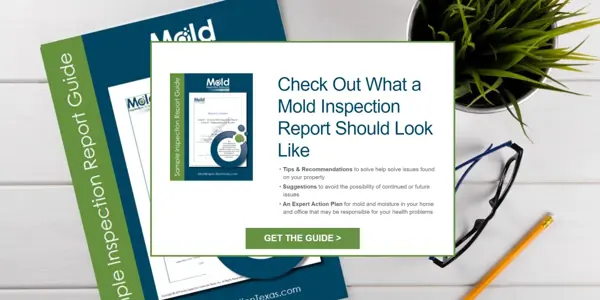 Check Out What a Mold Inspection Report Should Look Like with Our Sample Report Guide