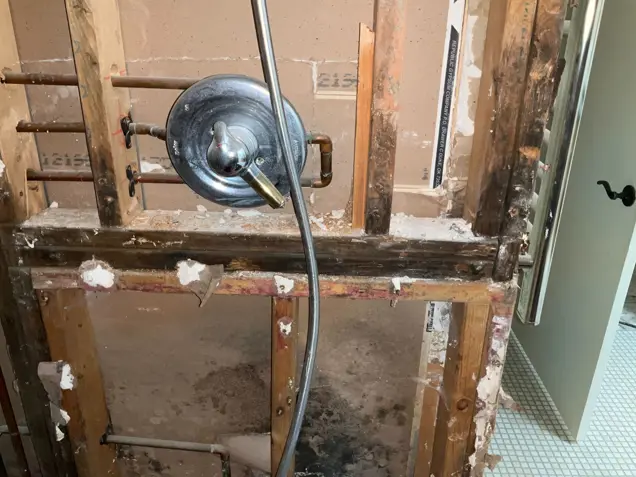 The image depicts an exposed shower wall with visible plumbing, including a central shower valve and pipes. The wooden studs and wiring are uncovered, revealing the unfinished state of the bathroom for inspection. A partially open door is visible on the right, suggesting an ongoing mold assessment.