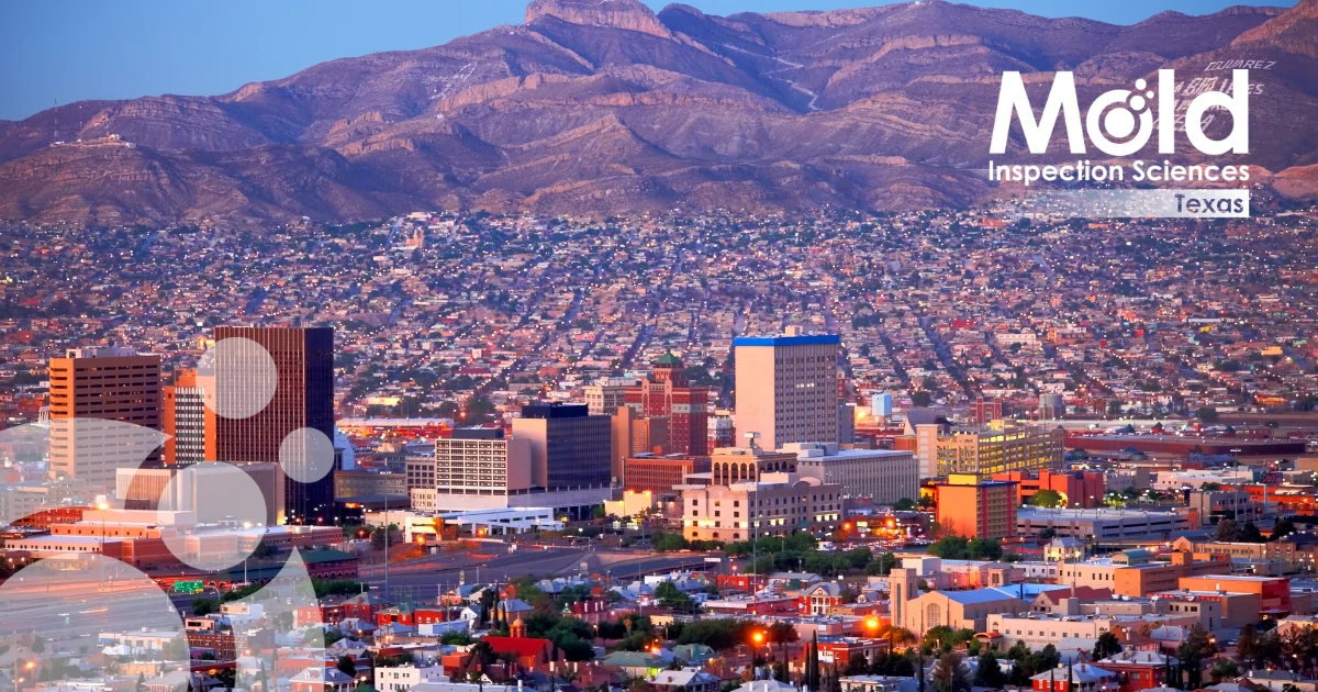 Downtown El Paso, Texas at sunset with mountains in the background, city buildings in the foreground, and Mold Inspection Sciences Texas logo in the upper right corner—highlighting expert inspection and testing services for your peace of mind.