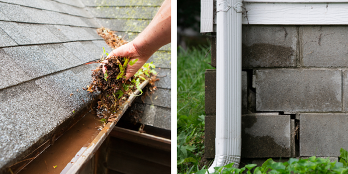 Left image shows a hand removing leaves and debris from a clogged roof gutter. Right image reveals potential mold issues with a cracked concrete foundation displaying water damage near a white downspout.