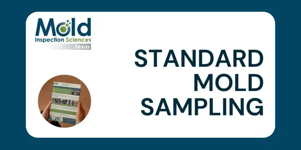 Standard Mold Sampling