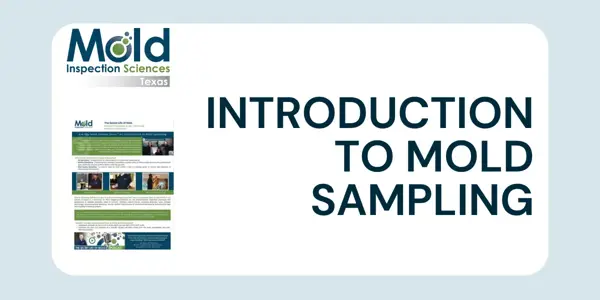 Mold Sampling