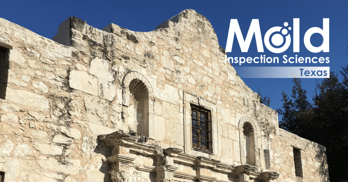 Front view of an old stone building with arched windows and aged stone walls set against a partially cloudy blue sky. "Mold Inspection Sciences Texas" is overlaid on the top right corner, subtly highlighting the importance of thorough mold assessment in historical structures.