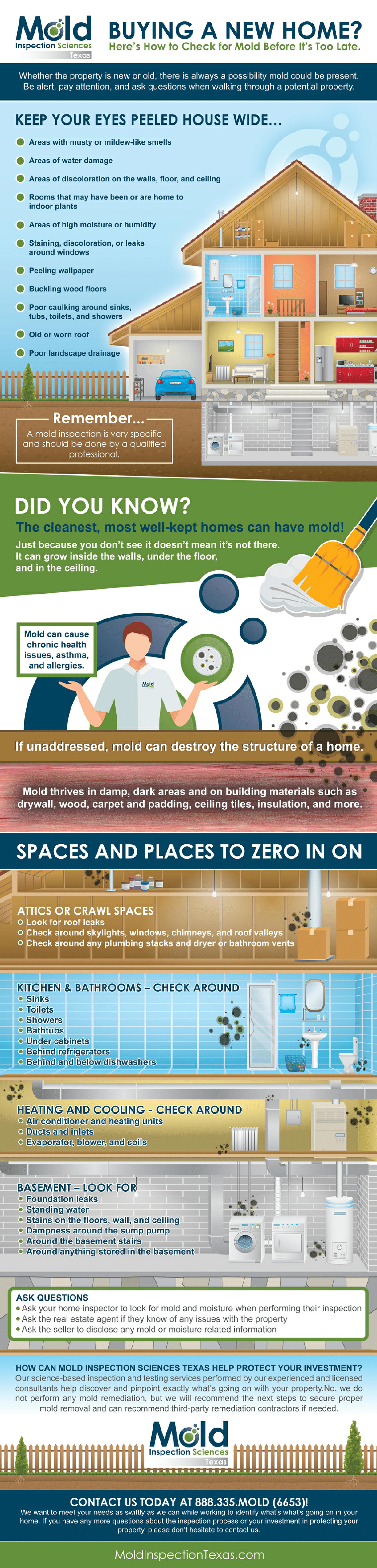 “Buying a New Home? Here’s How to Check for Mold Before It’s Too Late” Infographic