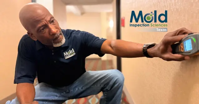 A man in a Mold Inspection Sciences Texas shirt uses a handheld device for mold testing on a beige wall in a carpeted hallway. The Mold Inspection Sciences Texas logo is visible on the wall.