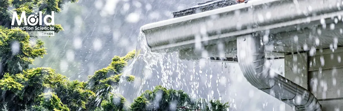 Rainwater pours from a roof gutter beside lush green trees. The image, from Mold Inspection Sciences, emphasizes heavy rainfall and potential water-related issues like mold, urging a thorough assessment to prevent long-term damage.