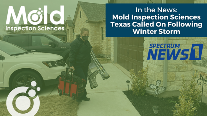 A person carrying a toolbox and a folding ladder walks on a driveway. A white SUV and a stone house are in the background. Text reads, In the News: Mold Assessment Sciences Texas Called On Following Winter Storm. Spectrum News 1 logo is displayed.