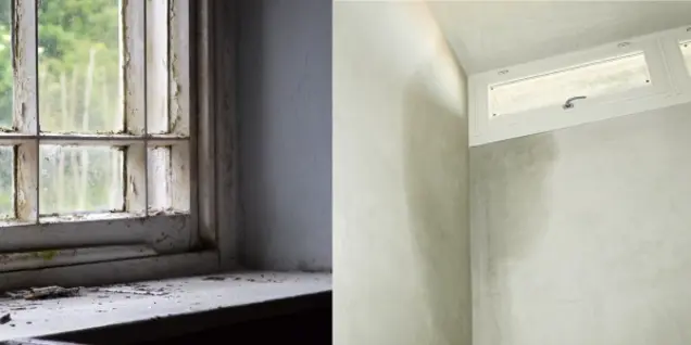 A split image shows an old, dirty window with peeling paint and possible mold on the sill on the left, and a clean, modern window set high on a freshly painted wall on the right—perfect for an easy inspection or assessment.