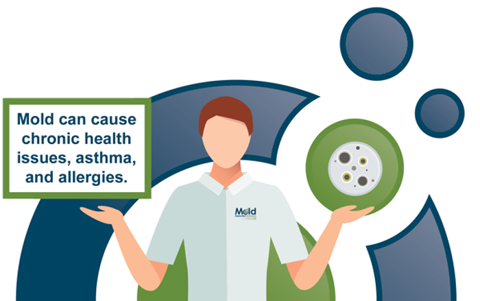 Illustration of a person holding a sign that says, Mold can cause chronic health issues, asthma, and allergies, with abstract circles in the background. The person wears a shirt labeled Mold Testing.