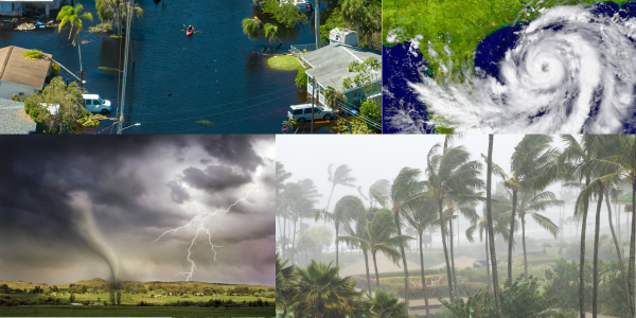 Collage showcasing four weather-related scenes: a flooded neighborhood with rescue and mold assessment efforts, a satellite view of a hurricane, a tornado touching down in a rural area with lightning, and palm trees swaying heavily in a tropical storm.