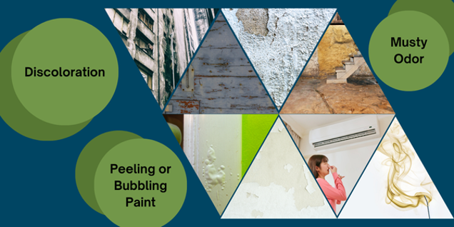 A collage depicting signs of moisture issues: discoloration, musty odor, peeling paint. Images show stained walls, a damp basement in need of inspection, peeling paint, a person with a nose plug during an assessment, and a mildew texture.