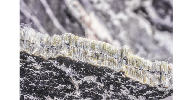 Close-up of a mineral rock surface, revealing layers of fibrous white crystals interspersed with dark and light sections. The texture appears rough, akin to a meticulous inspection of natural formations, with visible striations and varied coloration highlighting crystalline contrasts.