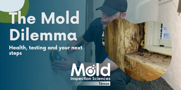 A technician conducts a thorough inspection of a wall for mold. Inset: severe mold on a window frame. Text: The Mold Dilemma. Health, assessment, and your next steps. Mold Inspection Sciences Texas.