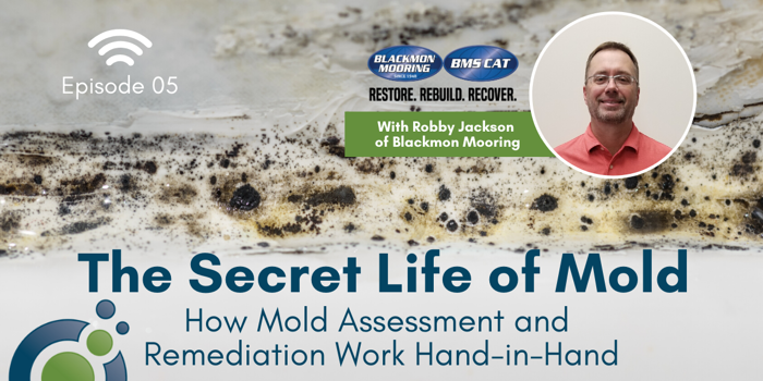 Podcast cover featuring the title The Secret Life of Mold: How Mold Assessment and Remediation Work Hand-in-Hand. Includes an image of mold and a photo of Robby Jackson during a mold investigation, proudly representing Blackmon Mooring.